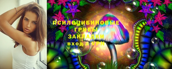 бошки Алексин