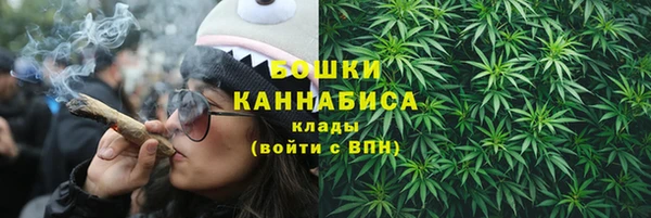 бошки Алексин