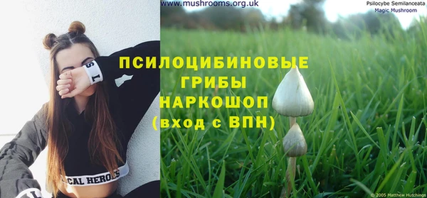 бошки Алексин
