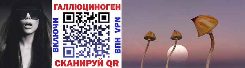 Галлюциногенные грибы мухоморы  Пошехонье 
