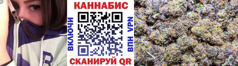 площадка официальный сайт  Пошехонье  Бошки марихуана гибрид 
